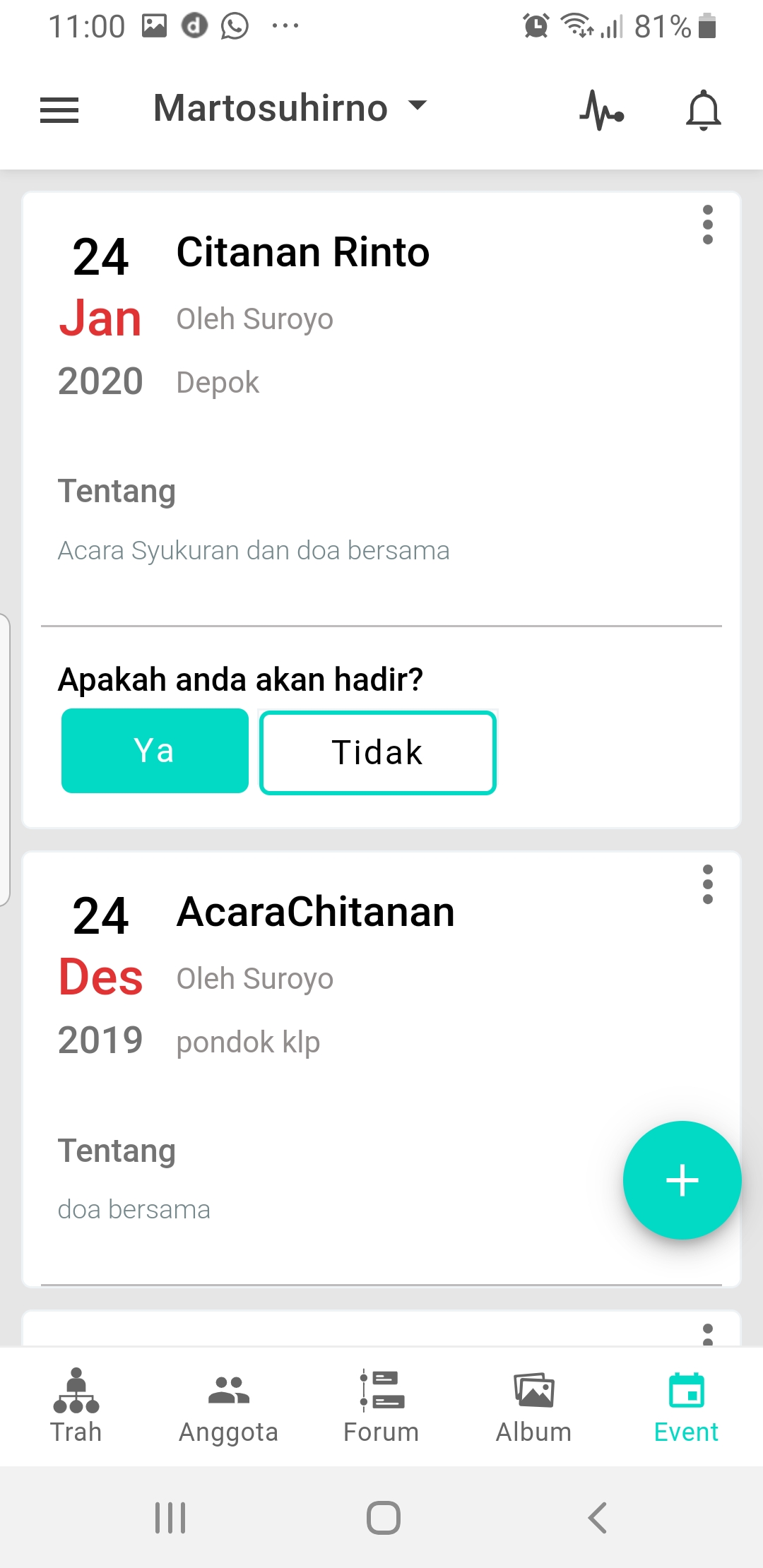 Screen preview