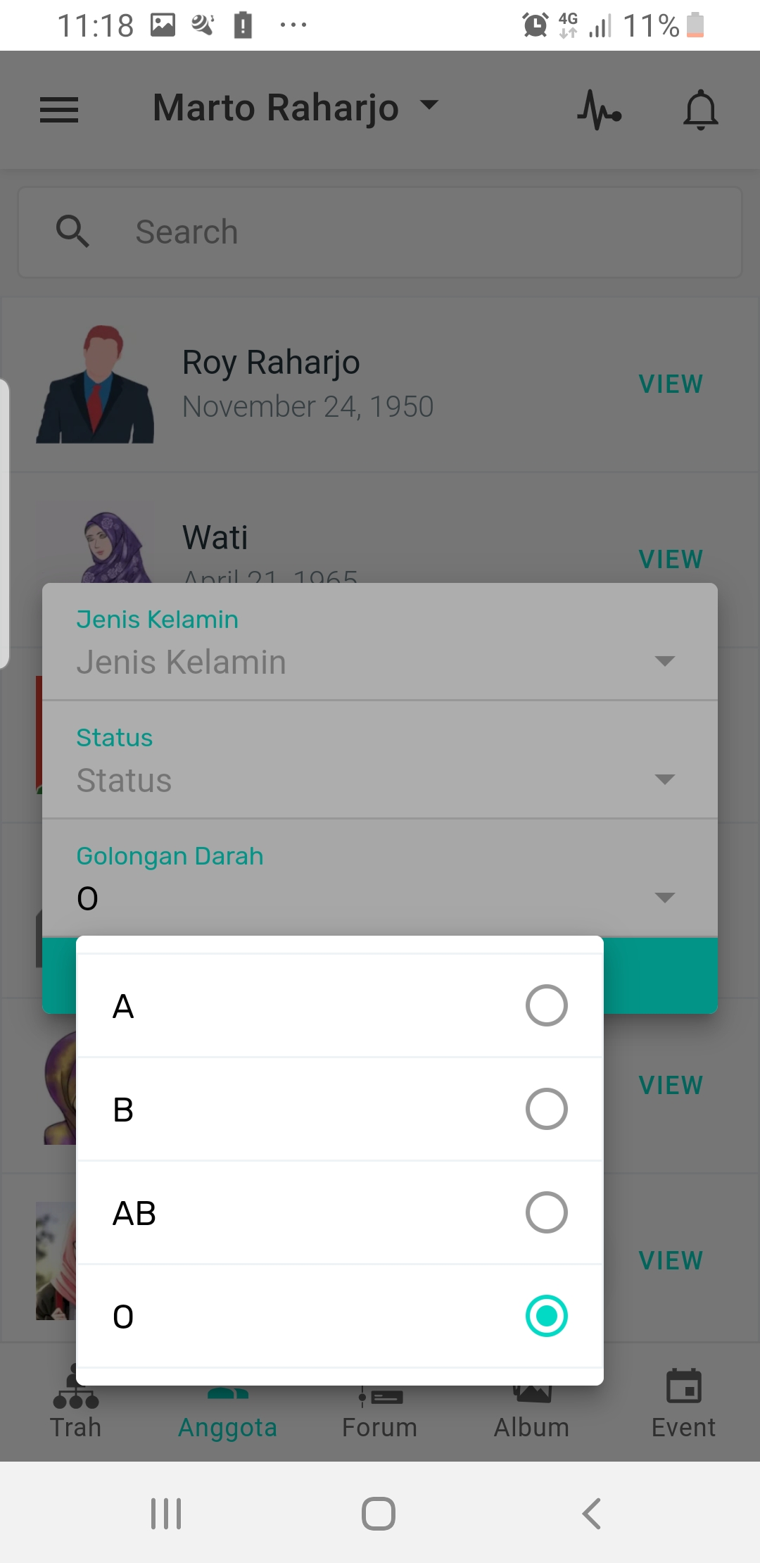 Screen preview
